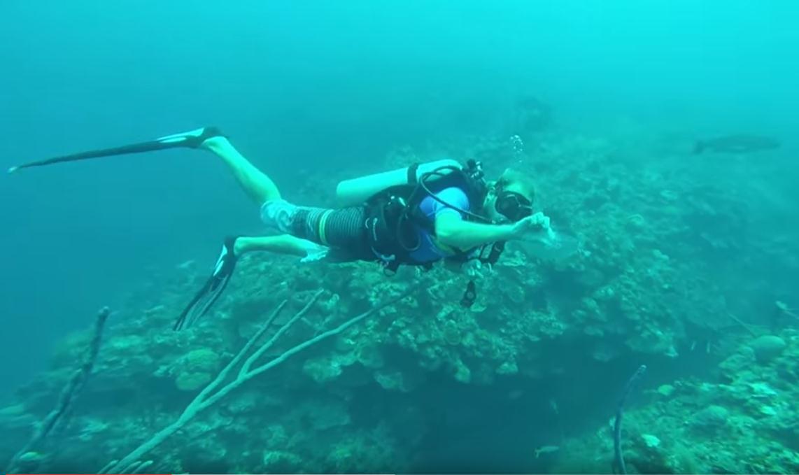 careers-that-involve-scuba-diving