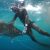 Spearfishing Tips for Beginners
