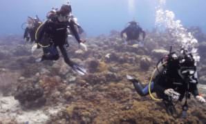 PADI Open Water Diver certification will send you on your way to many exciting underwater adventures