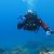 Scuba Diving Certification Fort Lauderdale Florida