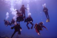Scuba Diving Certification Milwaukee PADI Rescue Diver and Beginners