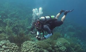 Tips to Find Cheap Scuba Diving Trips