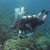 Tips to Find Cheap Scuba Diving Trips